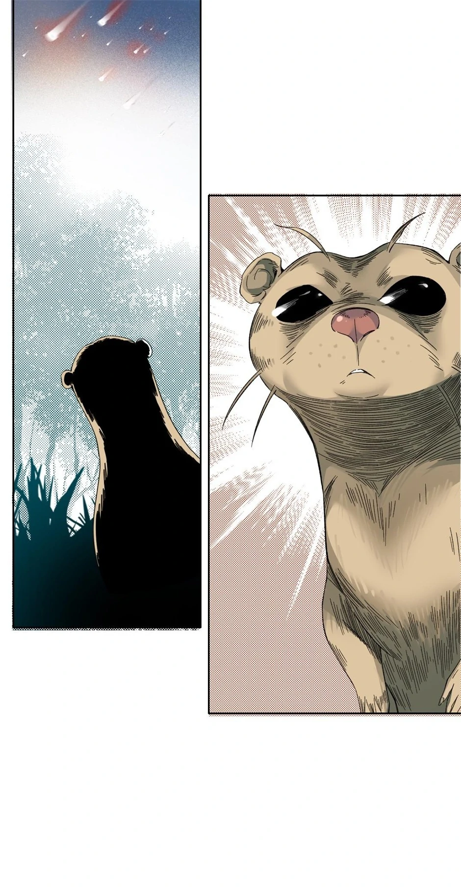 81907807 940 1810 310140